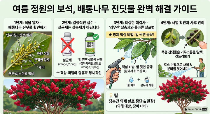 여름 정원의 보석, 배롱나무: 진딧물 문제 완벽 해결 가이드
